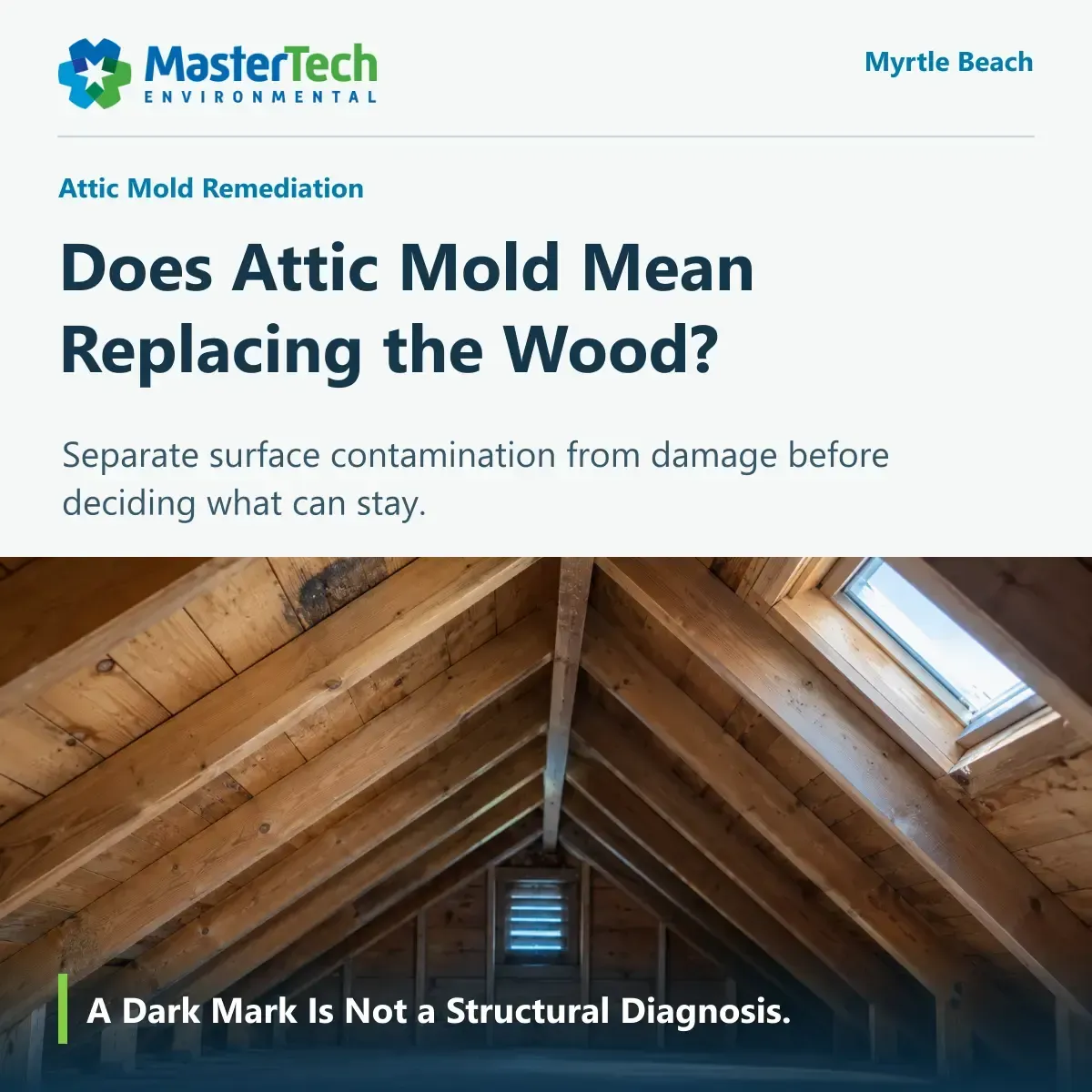 Attic mold remediation