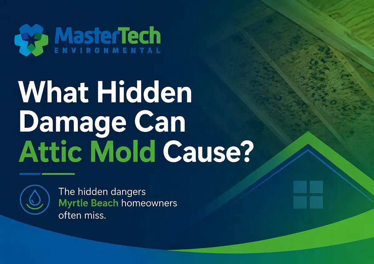Attic mold remediation