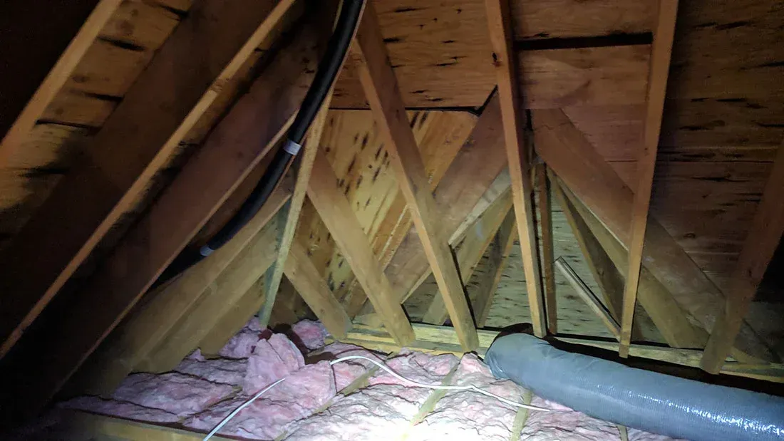 Attic Mold Remediation