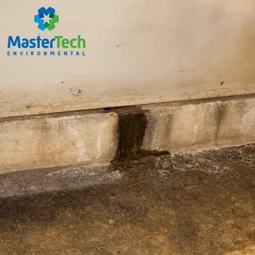 Crawlspace mold