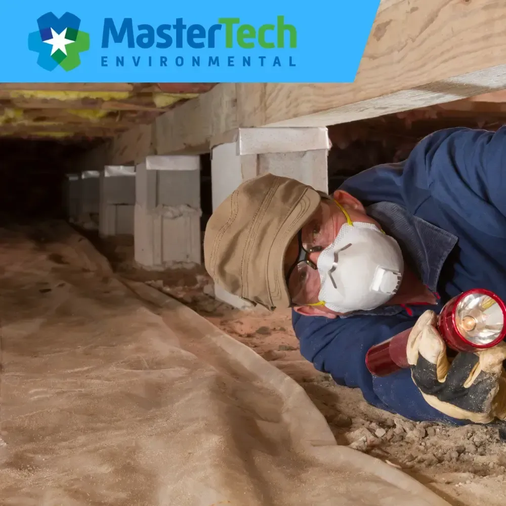Crawlspace Mold Remediation 2