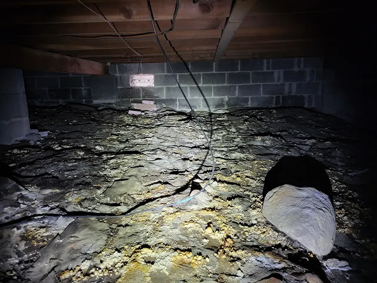 Crawlspace mold remediation 3