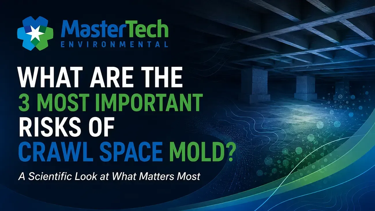 Crawlspace Mold Remediation