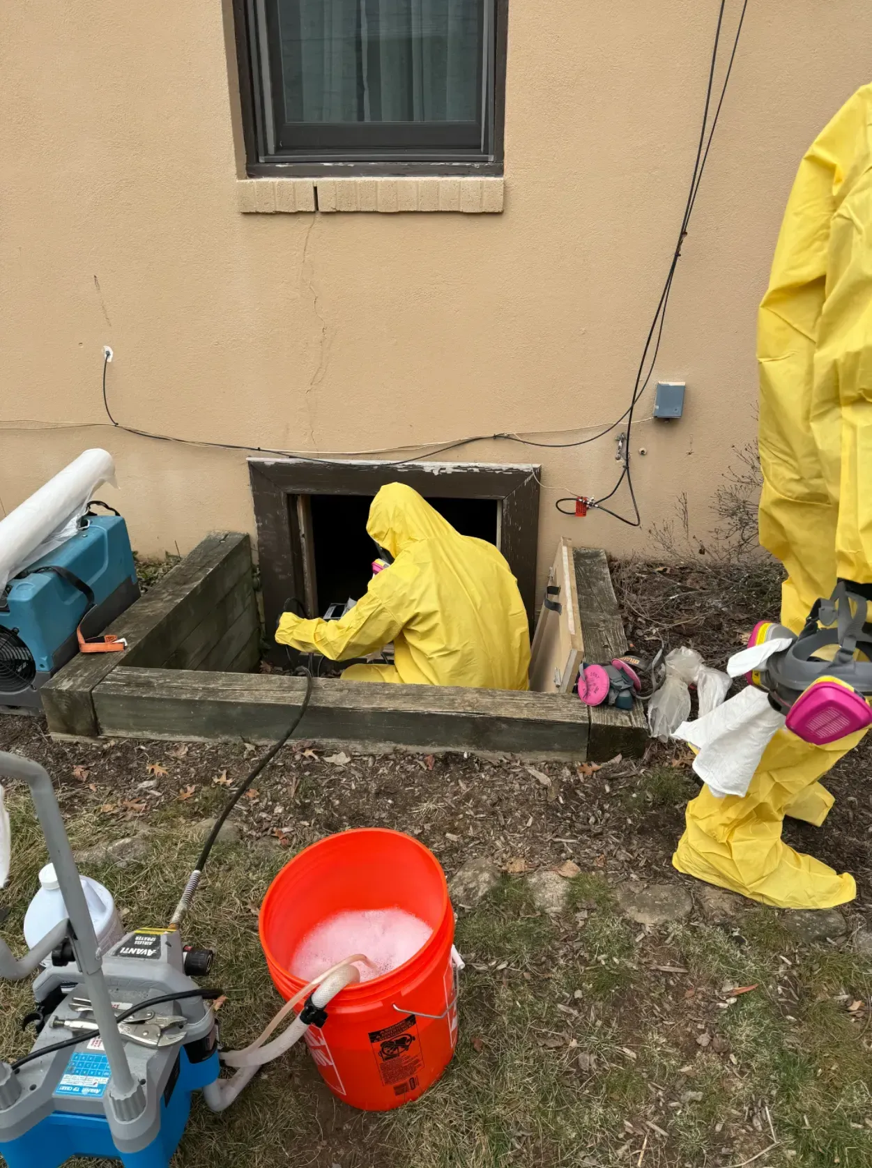 Crawlspace mold remediation 4