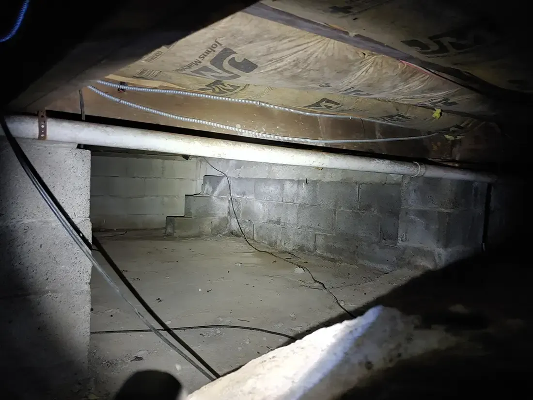 Crawlspace mold remediation