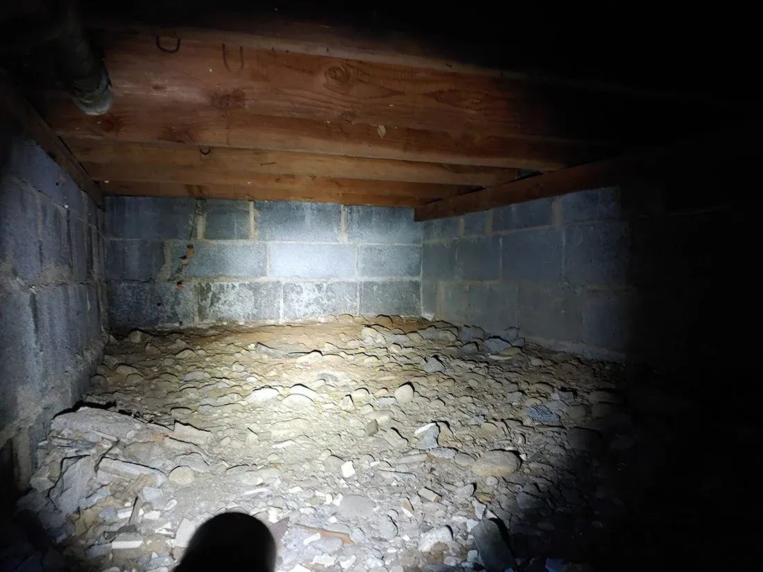 Crawlspace mold remediation