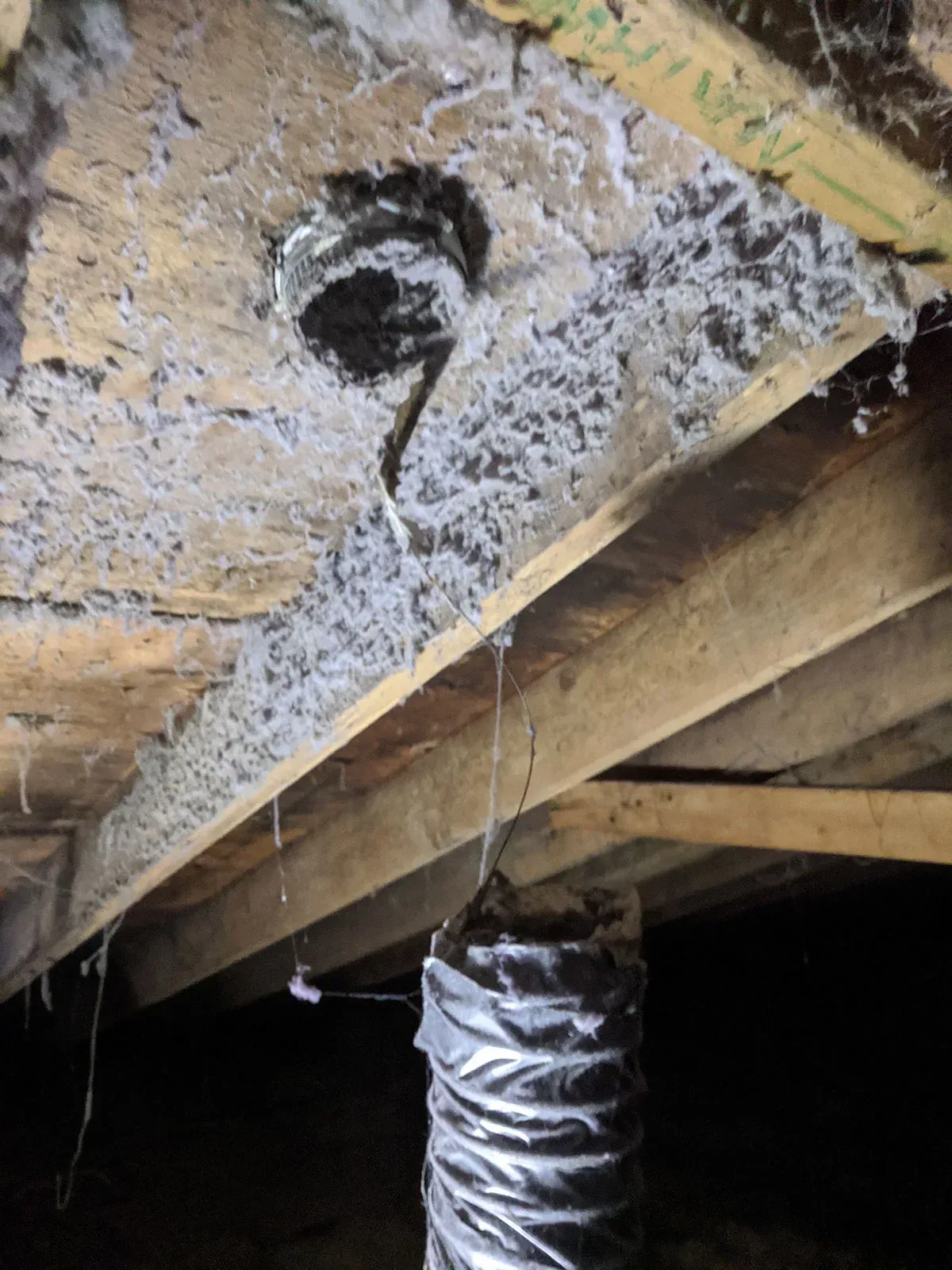Duct Cleaning