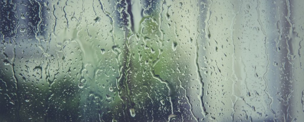 Heavy Rain Mold Myrtle Beach