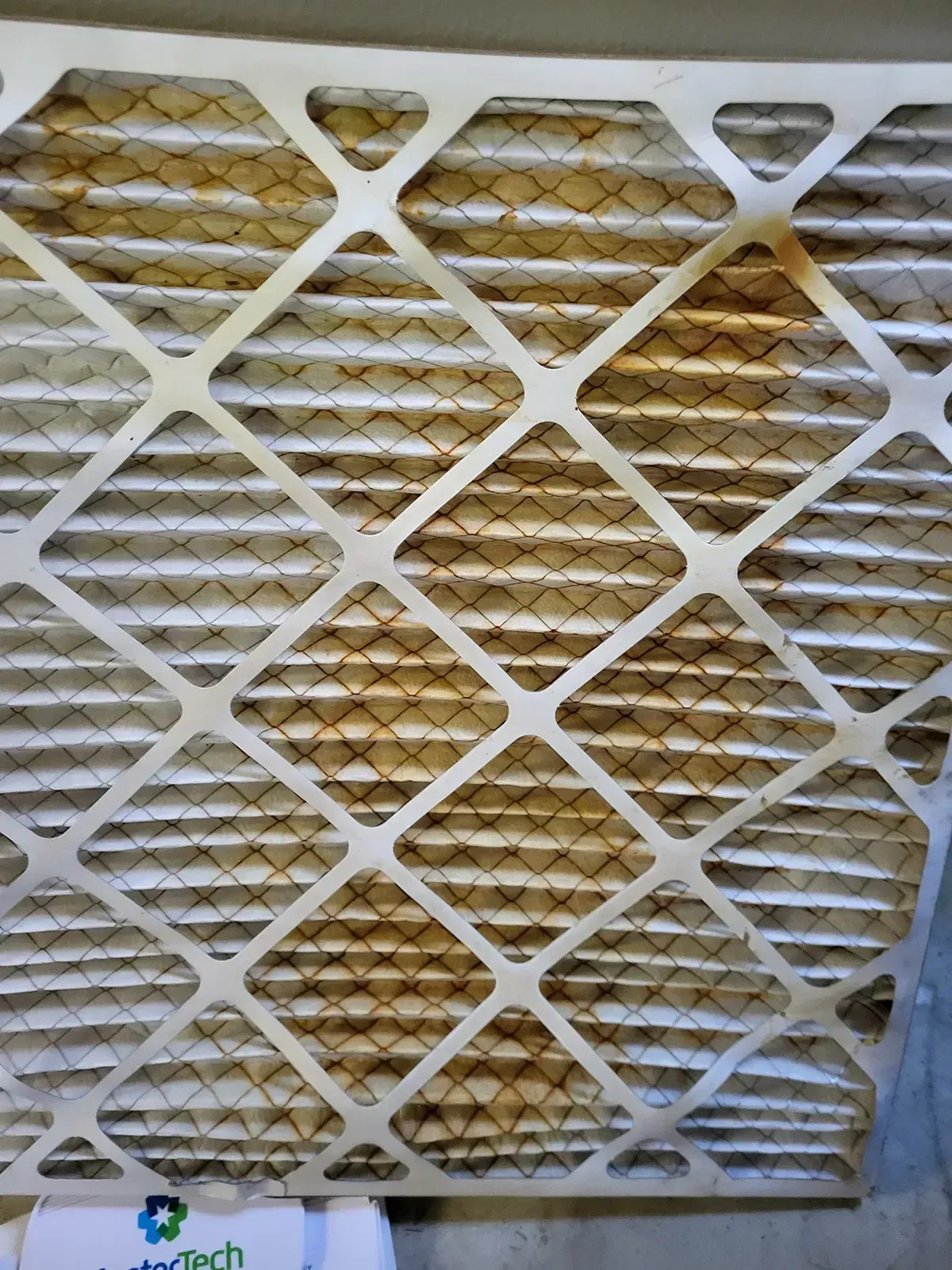 Mold Inspection Myrtle Beach 2