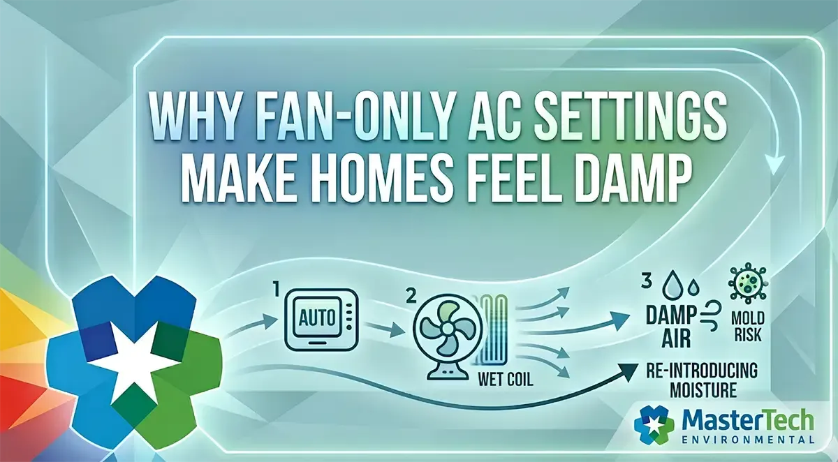 Mold Inspection Myrtle Beach