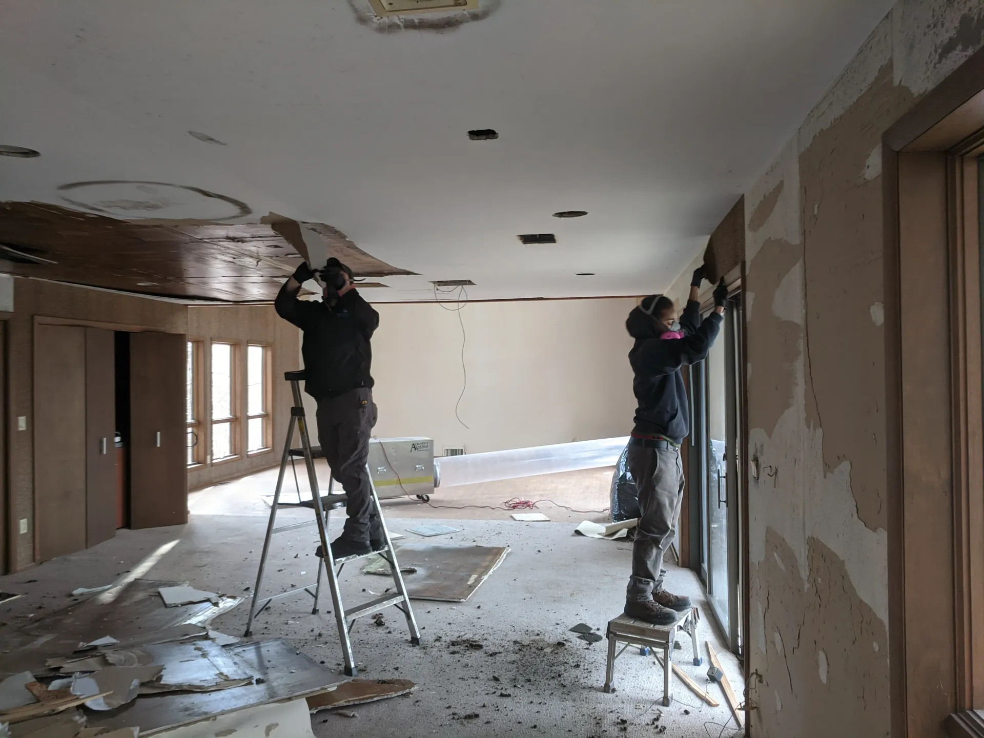 Mold remediation Myrtle Beach