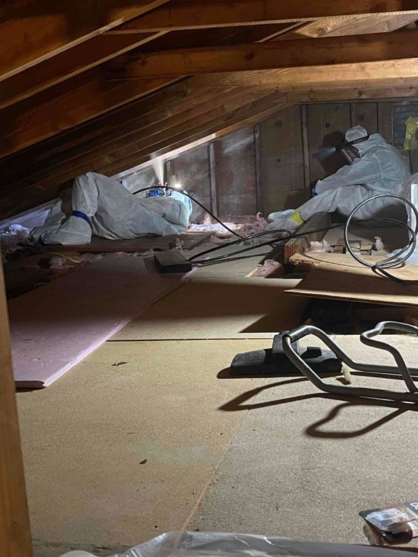 Mold Remediation Ocean Isle Beach NC