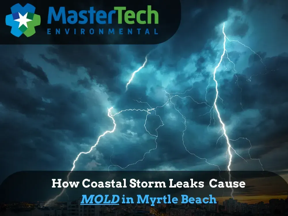 Mold remediation Myrtle Beach