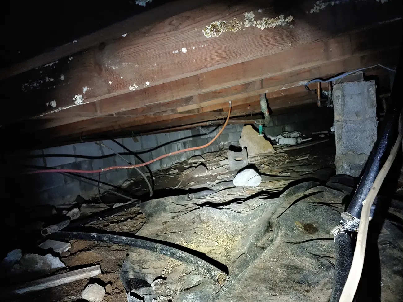 Mold Remediation Myrtle Beach 3