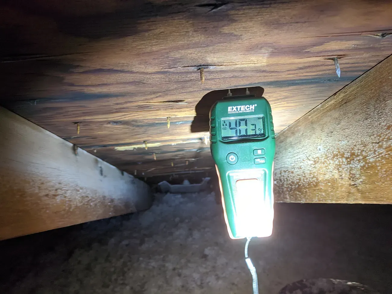 Mold remediation Myrtle Beach 3