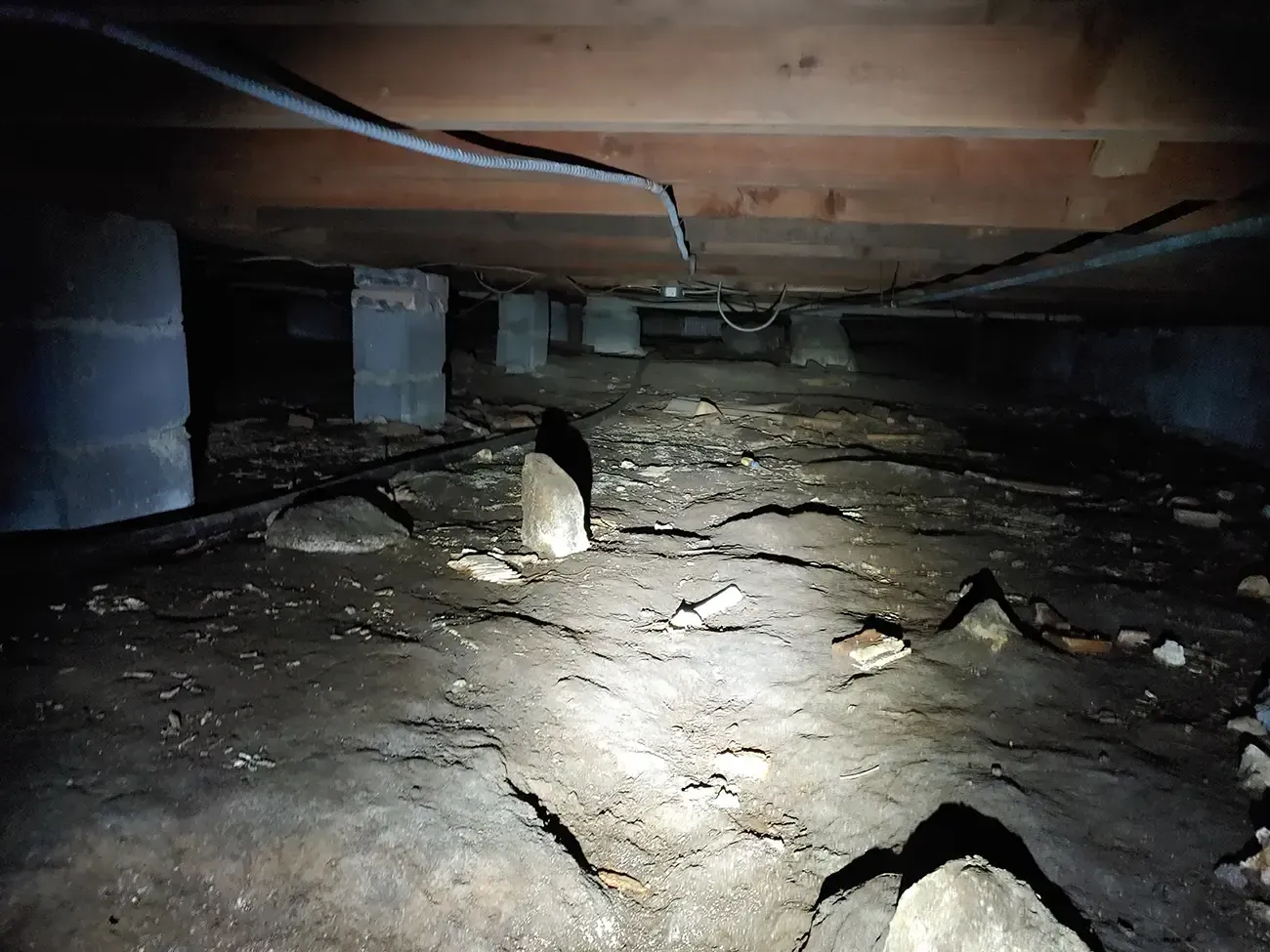 Mold Remediation Myrtle Beach 4