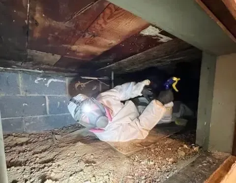 Mold Remediation Myrtle Beach