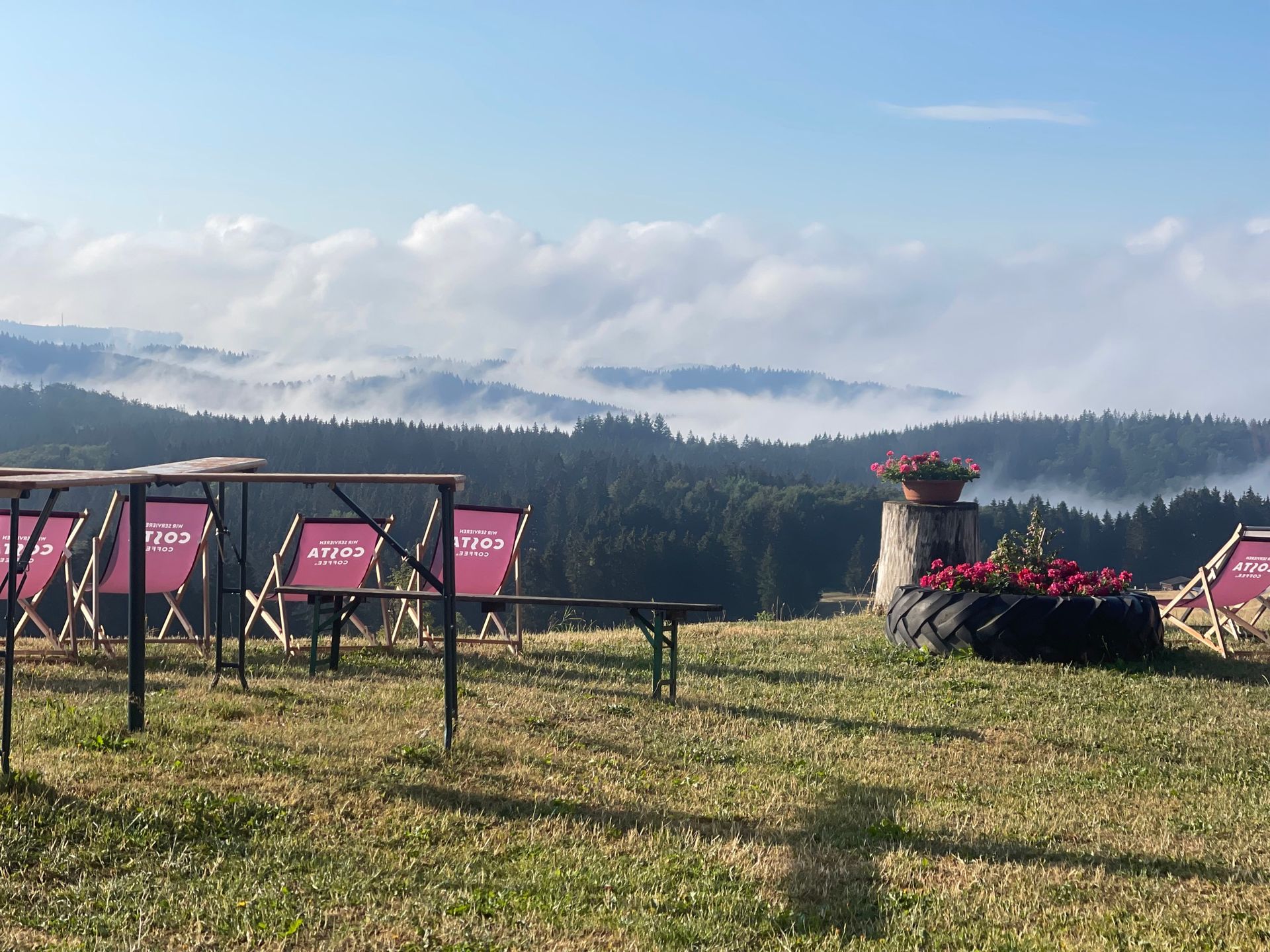 A row of red chairs are sitting on top of a grassy hill.