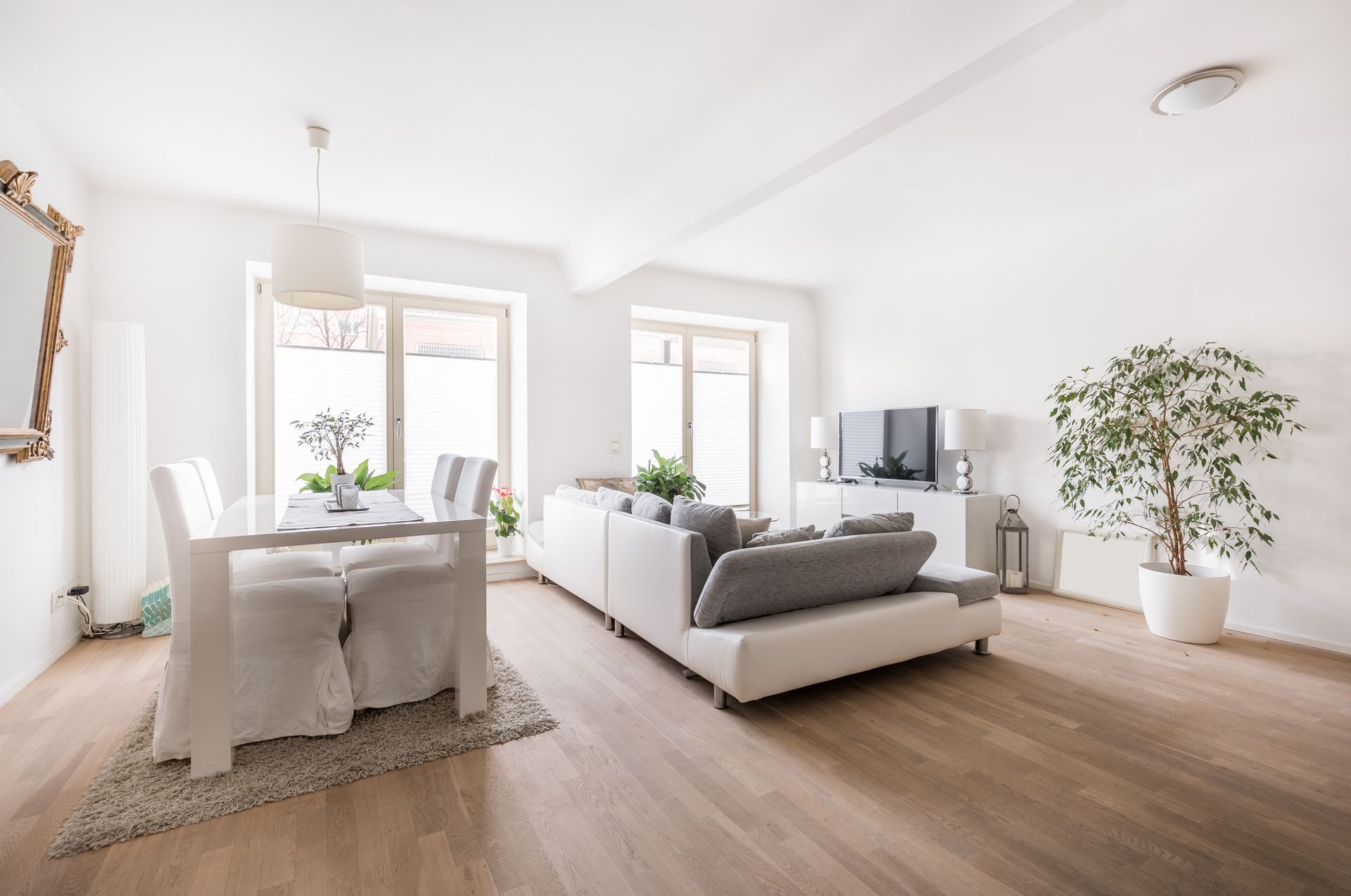 Bright, modern living room with a white sofa, dining table, and large potted plant.