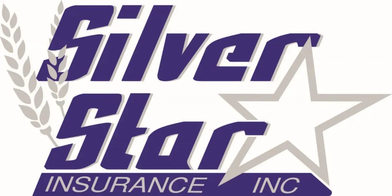 Silver Star Insurance Inc