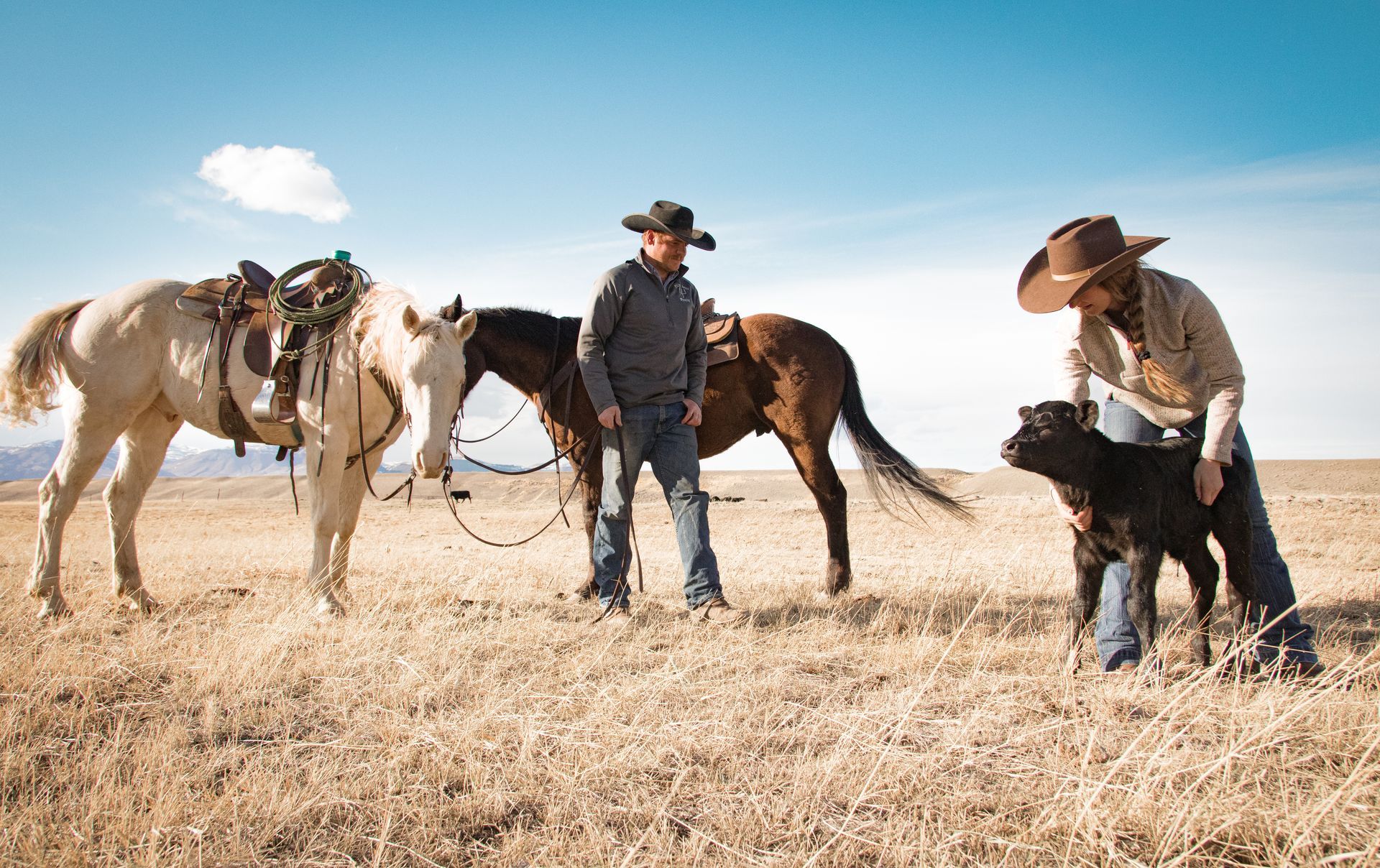 Two cowboys are standing next to two horses and a dog in a field.