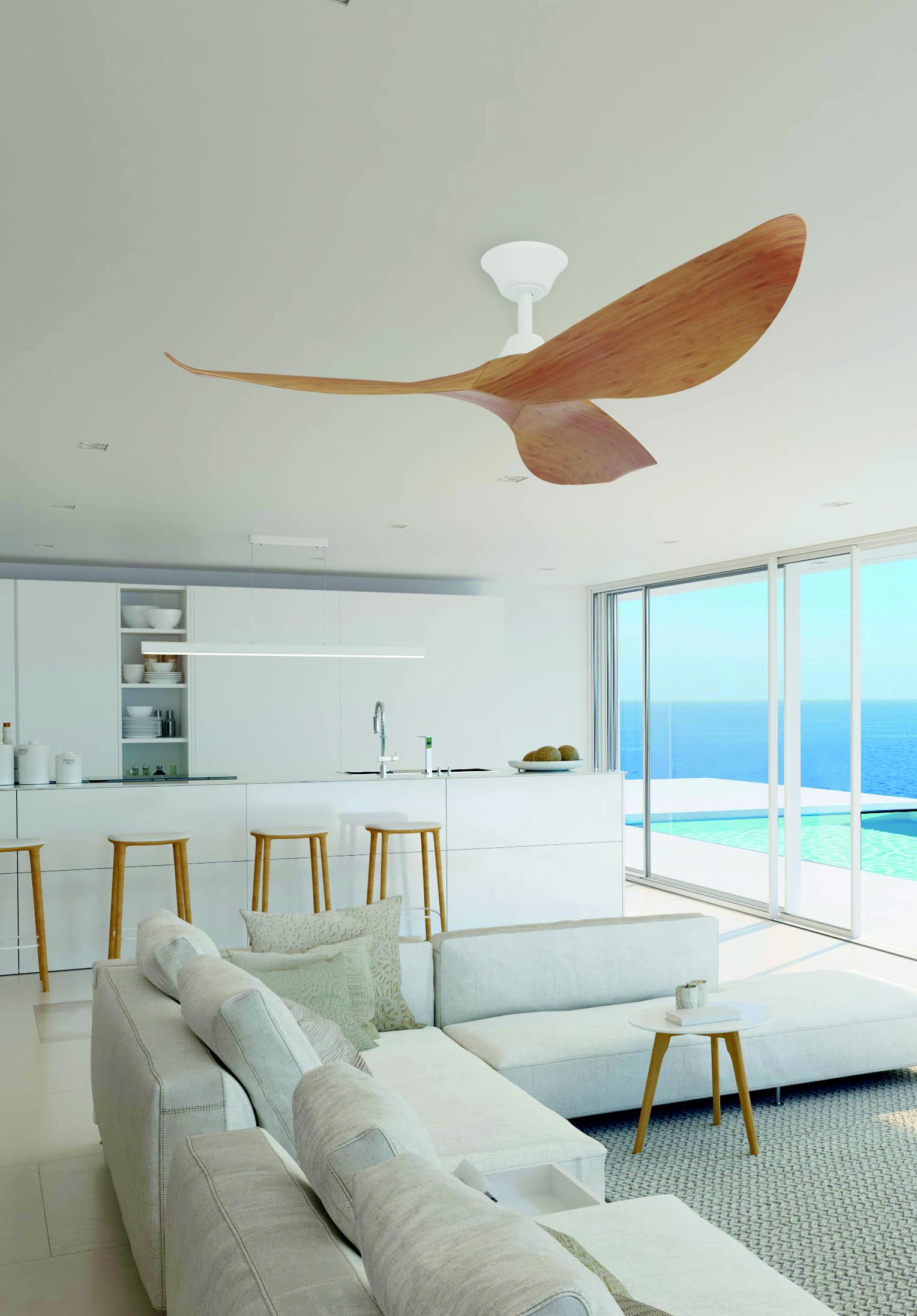 White room-White & brawn ceiling fan