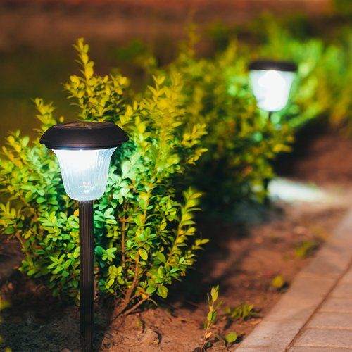 Garden Lights