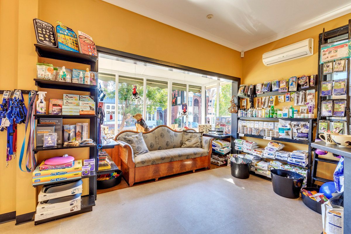 Clinic Interior — Sandy Bay, TAS — Sandy Bay Holistic Vet