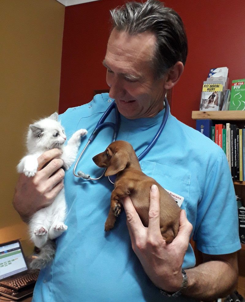 David Holding a Kitten and a Puppy — Sandy Bay, TAS — Sandy Bay Holistic Vet