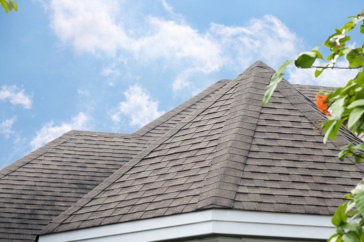 Roof shingles on top of the house