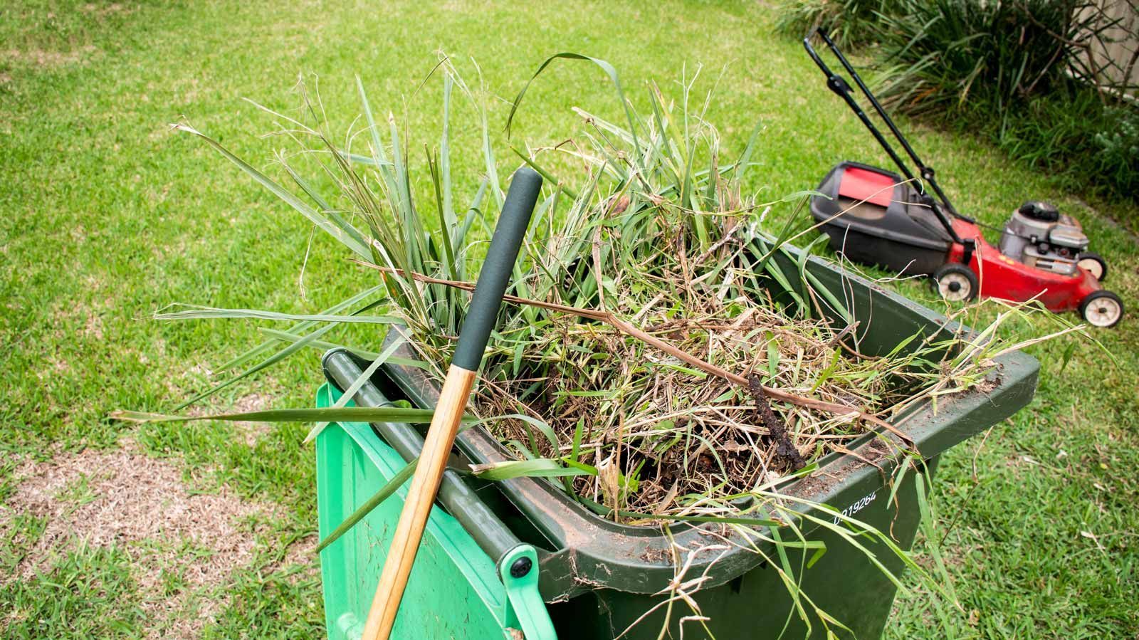 hedge maintenance