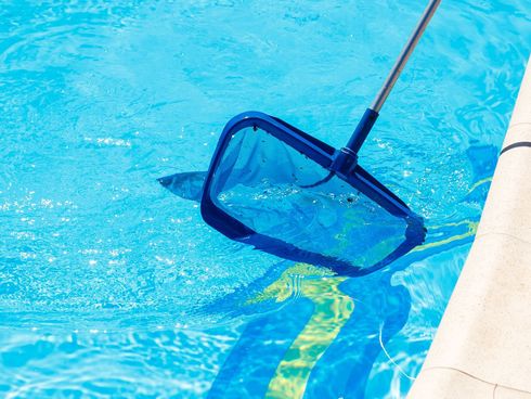 A blue net is being used to clean a swimming pool.