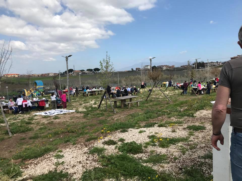 Area per picnic