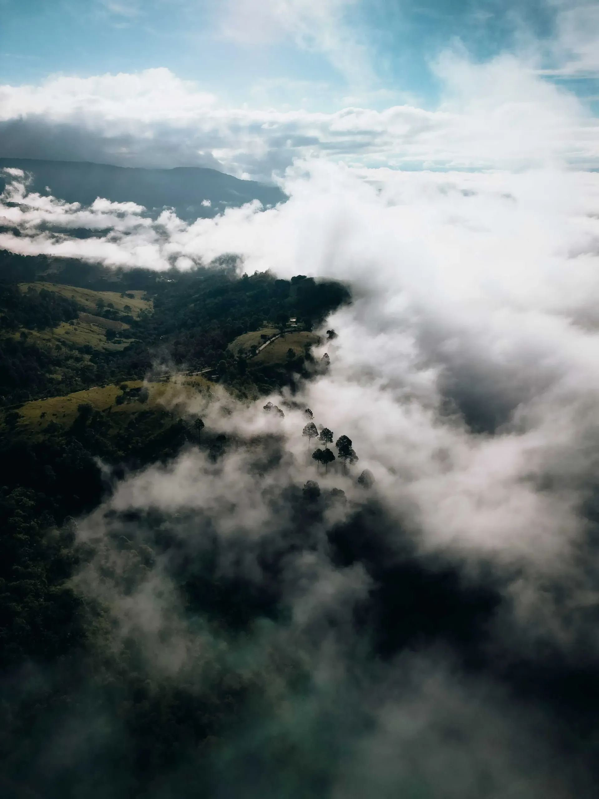 Clouds drifting over a forested mountain landscape at dawn