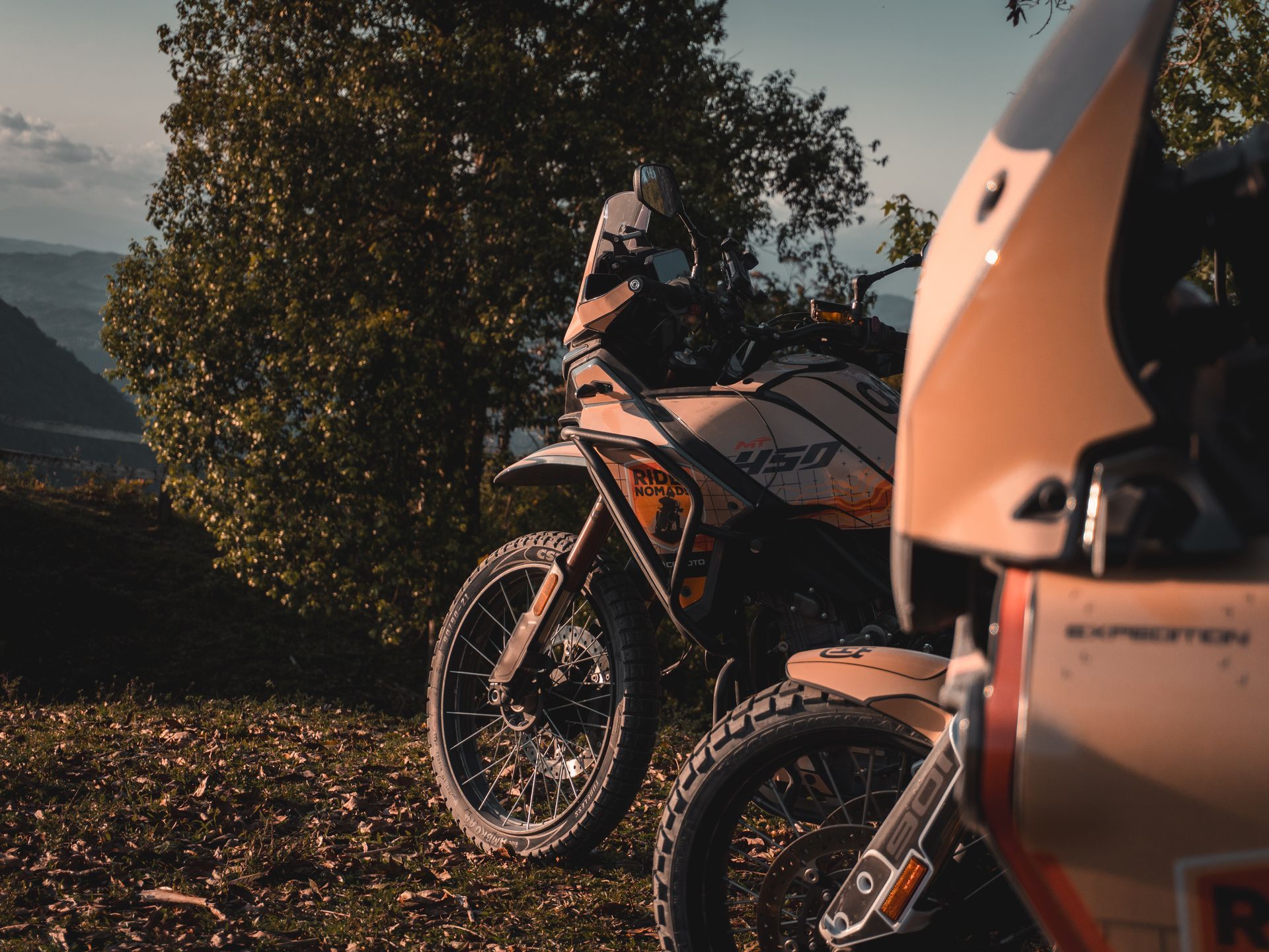 Two motorcycles parked outdoors at sunset near a tree, with warm orange bodywork in the foreground
