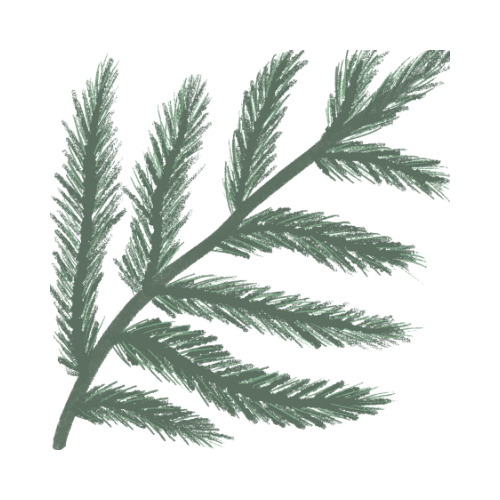 white pine leaves icon