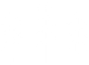 The Pines Endodontics Icon