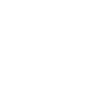 Fondo blanco vacío.