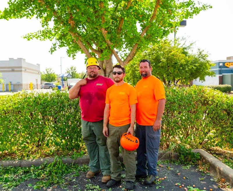 Three men are posing for a picture in front of a tree