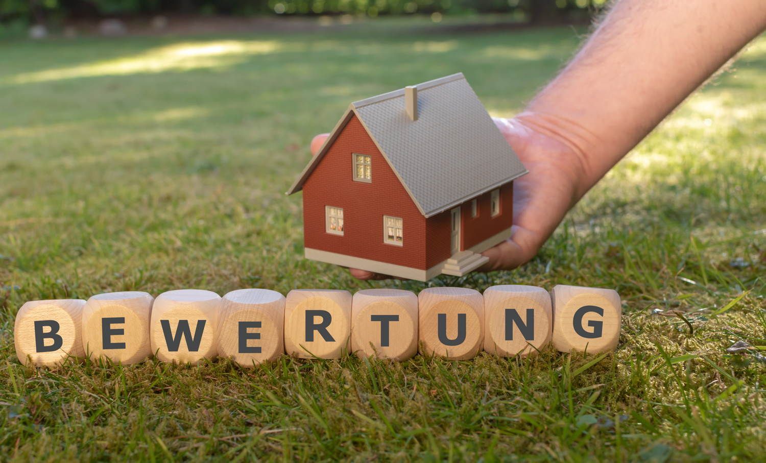 Plausibilitätsprüfung