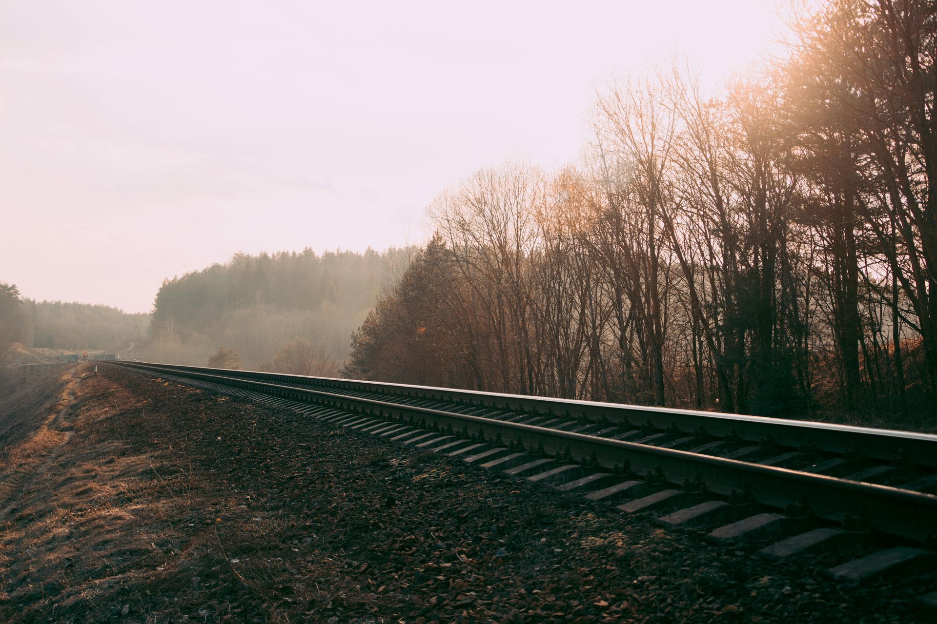 Seguir os seu caminho The sun is shining through the trees on the train tracks.