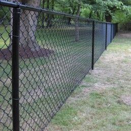 Black chain-link fence in a grassy yard, with trees visible in the background.