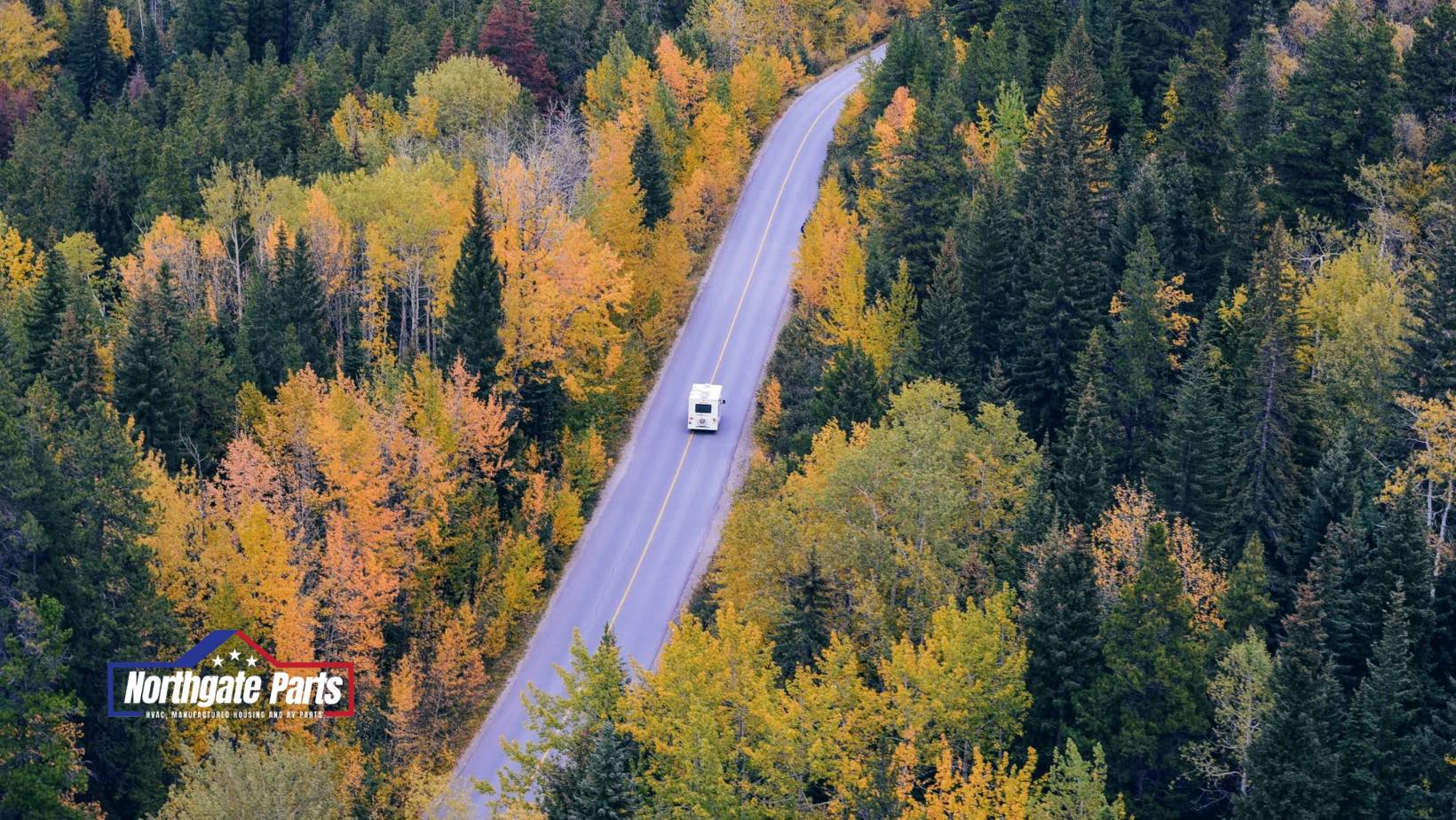 An aerial view of a car driving down a road surrounded by trees.