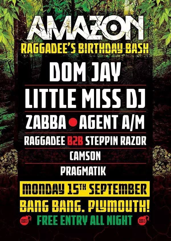 Purple-and-black music event flyer for “Amazon Raggadée’s Birthday Bash” with DJ lineup and date details