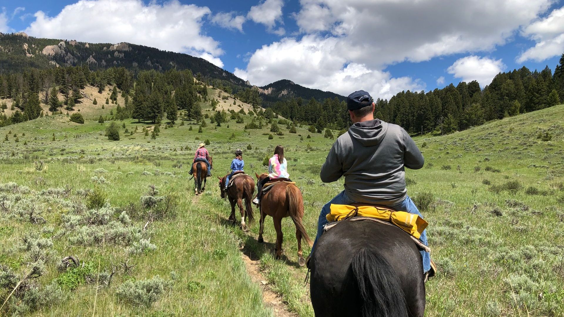 A group of people are riding horses through a grassy field.