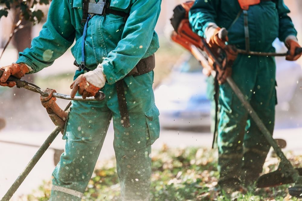 Where to Find the Best Deals on Workers