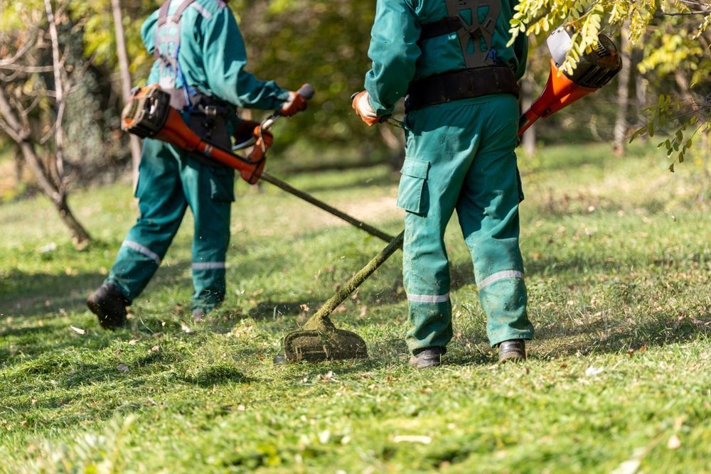 How to Get the Cheapest Workers
