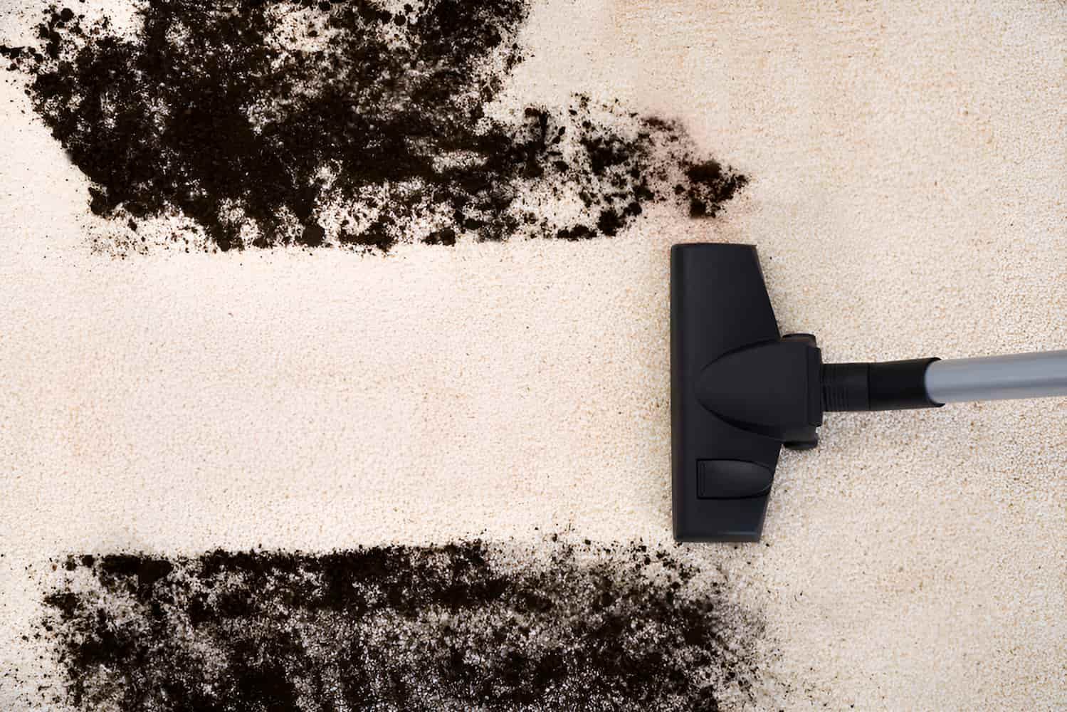 A Vacuum Cleaner Is Being Used To Clean A Carpet — Glittering Cleaning Service In Townsville, QLD