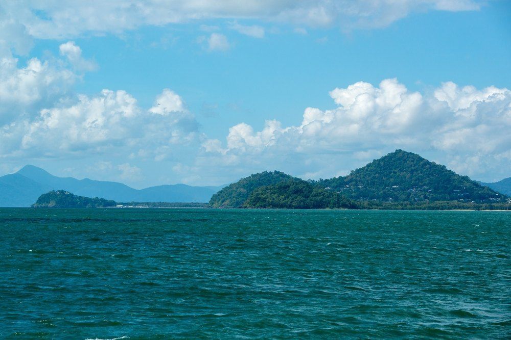 Green Sea With Island and Lush Hills — Glittering Cleaning Service in Northern Beaches, QLD