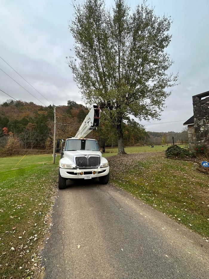 White utility truck parked on a rural road beside a large tree under overcast sky